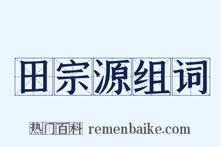 田宗源组词是什么意思的图片